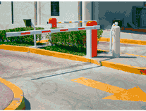CONTROL DE ACCESO VEHICULAR